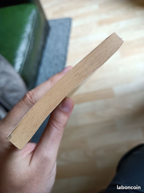 Un livre dont vous êtes le héro : La métropole de la peur (image 4)