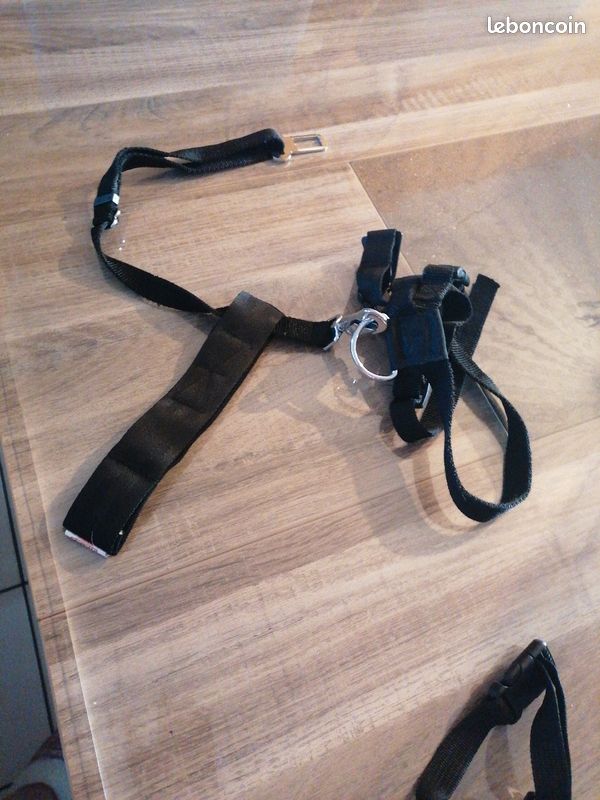 Ceinture de sécurité chien (image 1)