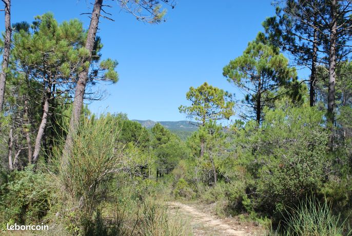 Terrain 943 m² Salernes