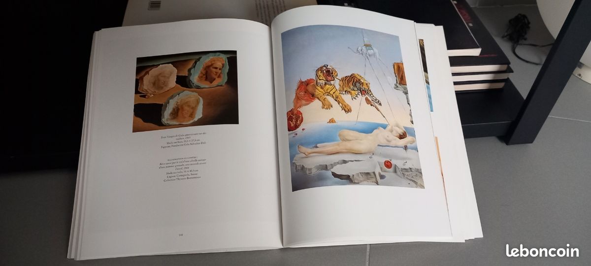 Livre Salvador Dalí (image 4)