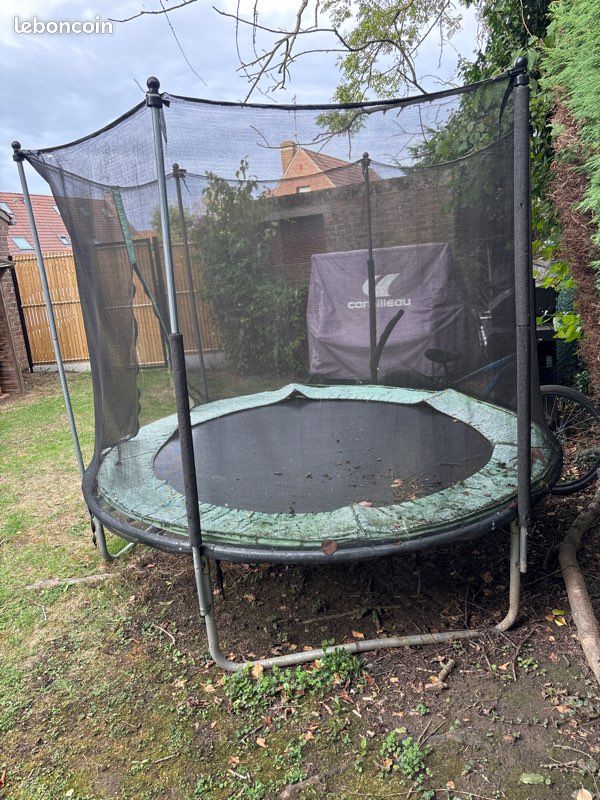 Donne trampoline (image 3)