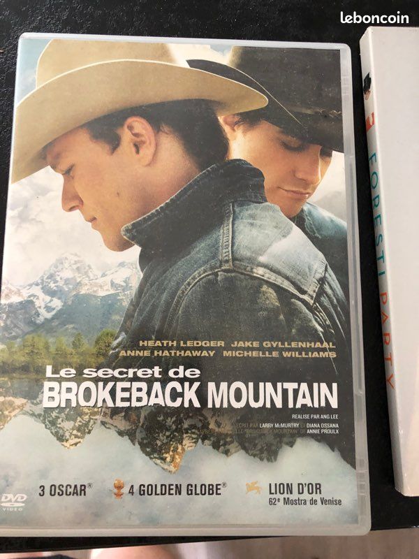 Dvd le secret de broke back mountain (image 1)