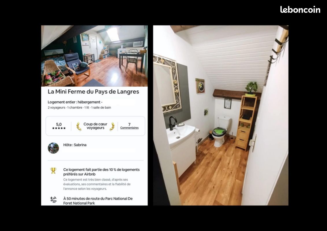 Maison, grand terrain et logement saisonnier (image 3)