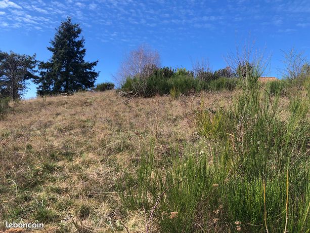 Terrain 1000 m² Chanonat