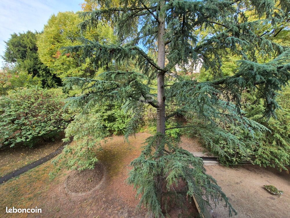 Appartement 1 pièce 23 m² · au Pecq · 23 m² · 168 000 €