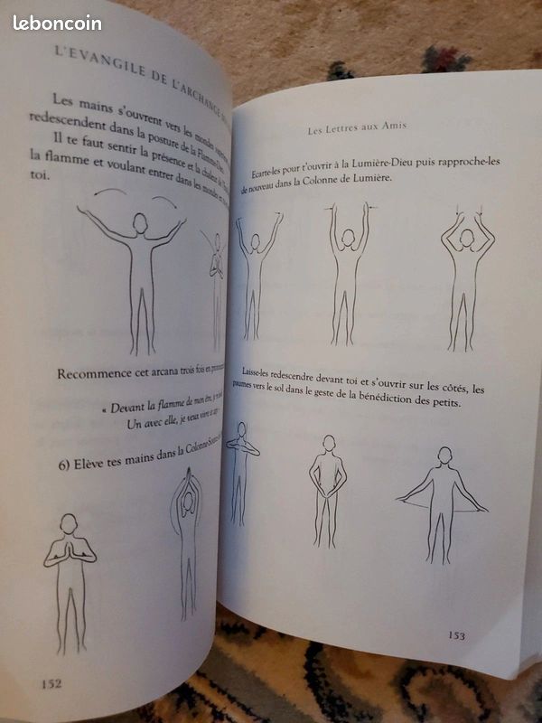 L'évangile de l'Archange Michaël par Olivier Manitara (image 4)