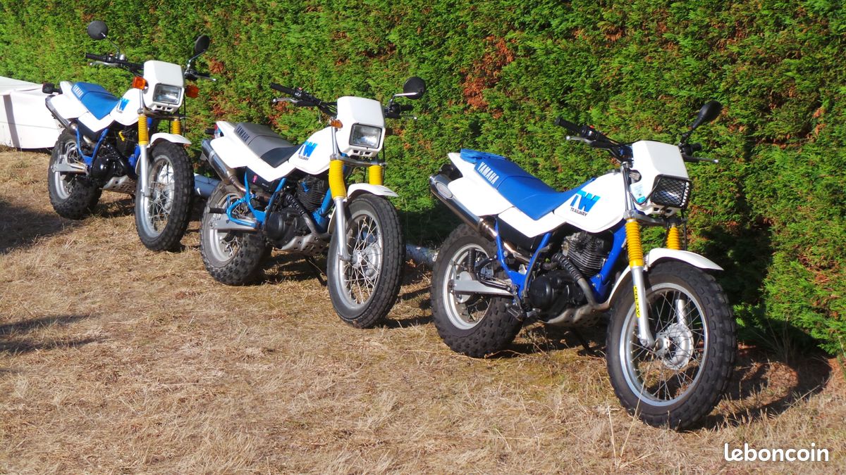 Yamaha TW (image 3)