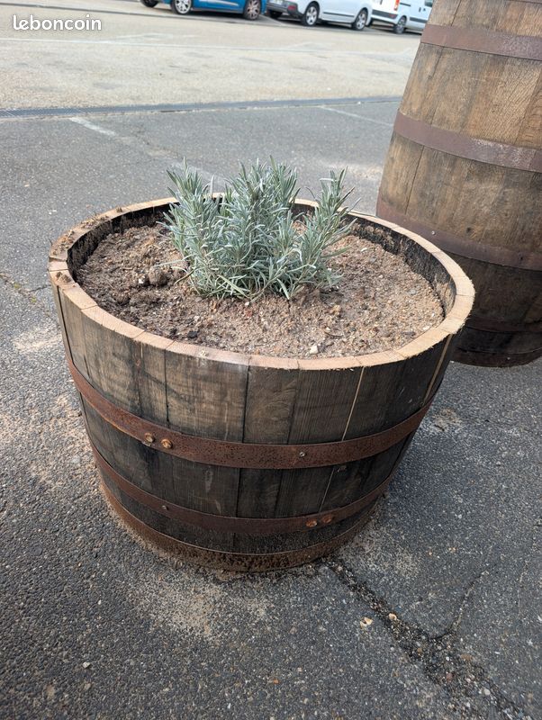 Jardinières & Pots en chêne massif (anciennes barriques de vin/whisky) (image 5)
