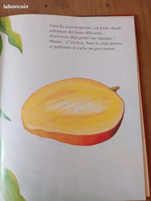 Les fruits du soleil (image 4)