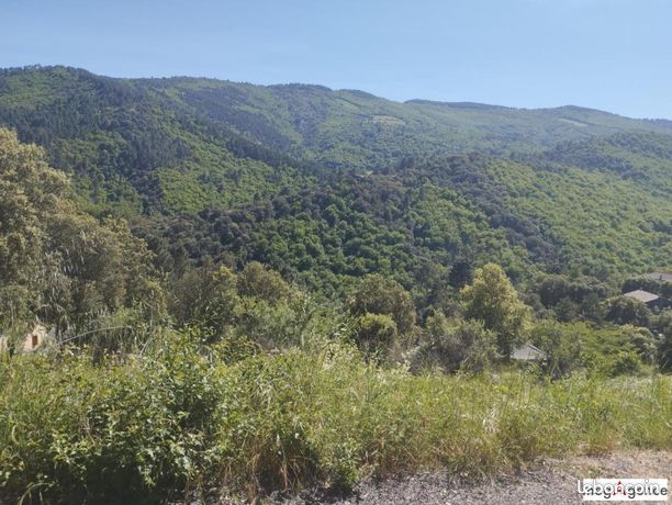 Terrain 2485 m² SAINTE-CROIX-VALLEE-FRANCAISE