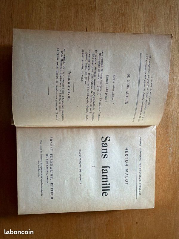 Hector Malot, Sans famille, Éditions Paris Ernest FLAMMARION, 1924 (image 3)