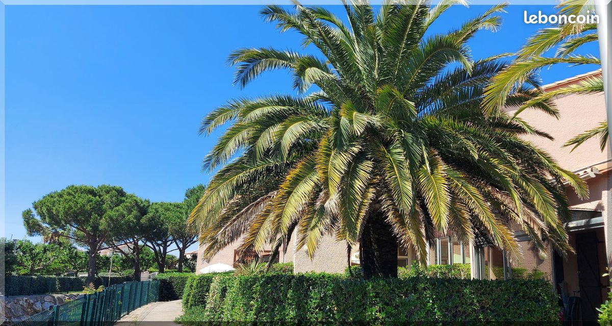 Appartement 2 pièces 52 m² · à Saint-Cyprien · 52 m² · 730 €