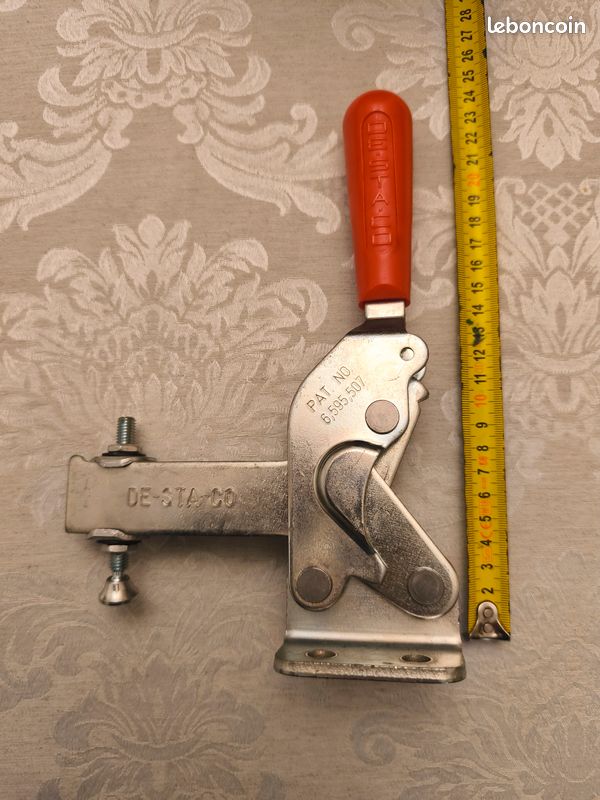 Grande sauterelle (image 4)