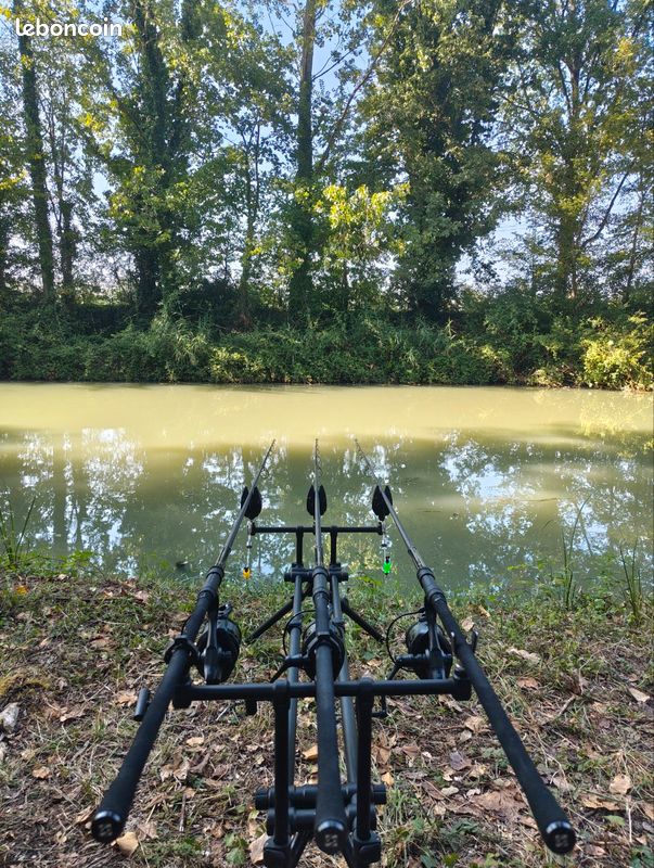 Ensemble peche carpe 10 pieds Sonik (image 1)