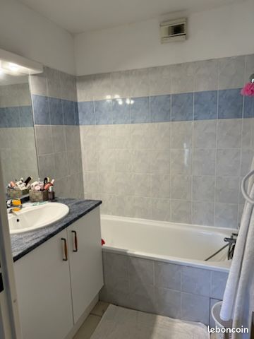 Appartement t2 - libre immediatement - Le Passage 47520 (image principale 2)