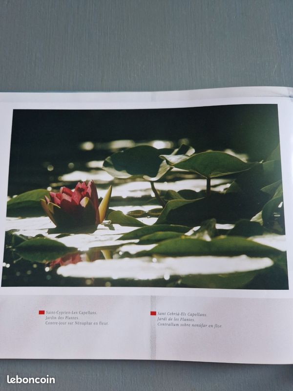 Saint-Cyprien - Livre de photographies (image 4)