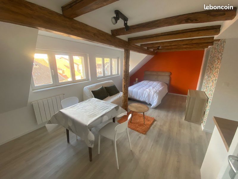 Appartement 1 pièce 30 m² · à Wasselonne · 30 m² · 600 €/mois