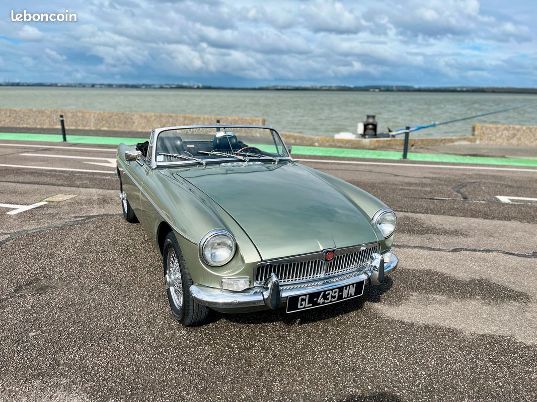 Mg b - 1974 (image 1)