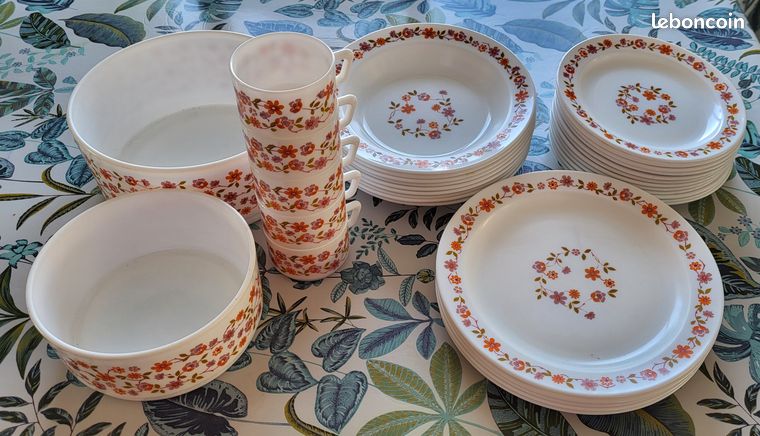 Lot 5 Assiettes Creuses Arcopal Vintage – Années 70 – Décor Champêtre – Verre Blanc