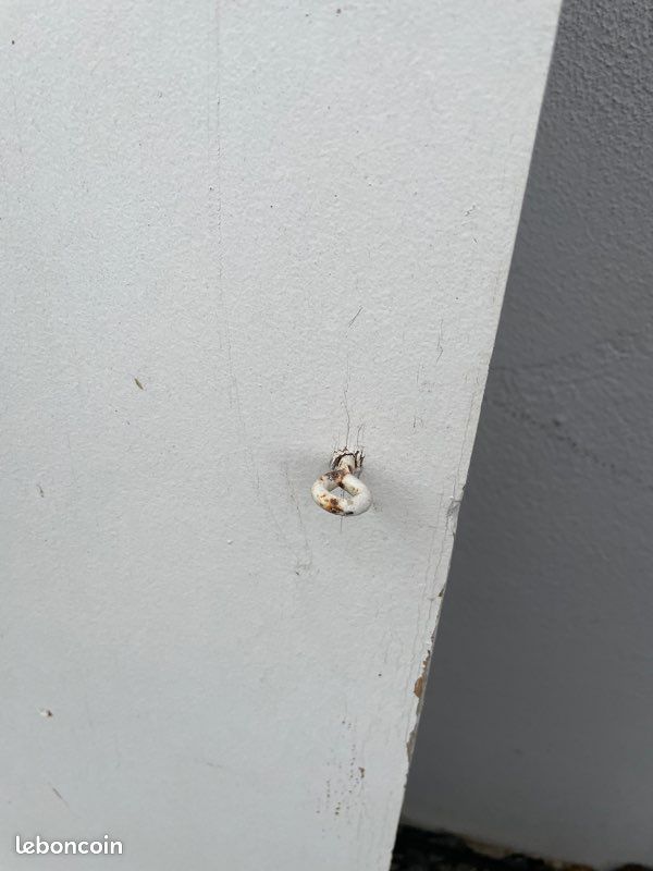 Voler ancien En Bois (image 4)