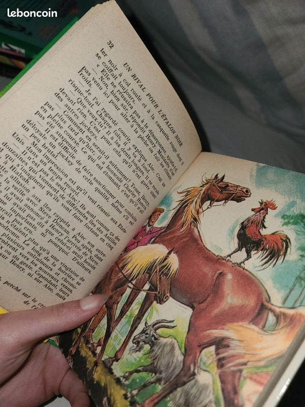 Lot 3 livres l'Étalon noir (L'empreinte, La légende, Un rival pour l'étalon noir) (image 3)
