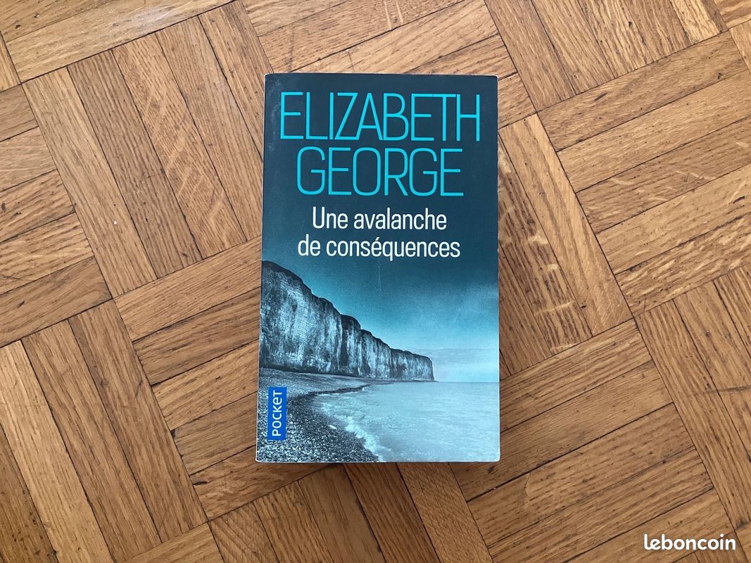 Une avalanche de conséquences, de Elizabeth George (image 1)