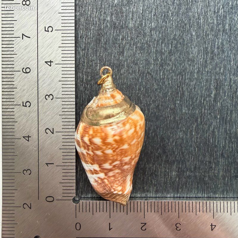 Pendentif coquillage naturel avec dorure (image 5)