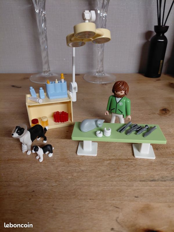 Vétérinaire Playmobil 5653 (image 1)