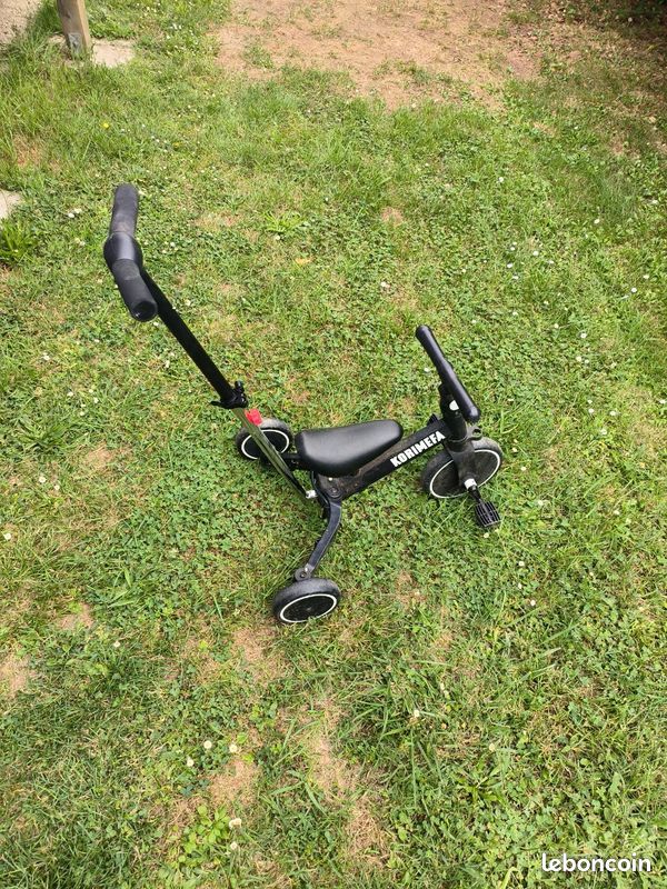 Dresienne / vélo (image 1)