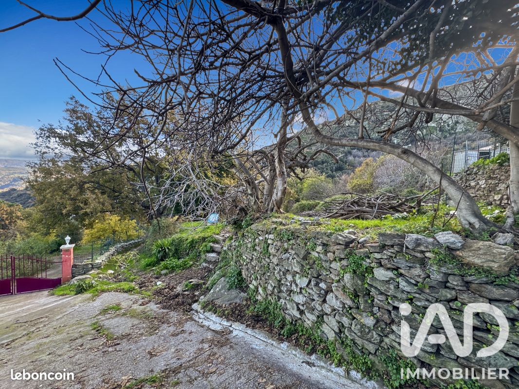 Terrain 842 m² · à Santo-Pietro-Di-Tenda · 842 m² · 69 000 €