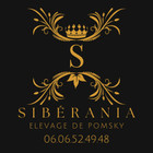 Elevage de Sibérania