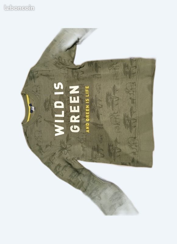 Sweat garçon 10 ans (image 1)