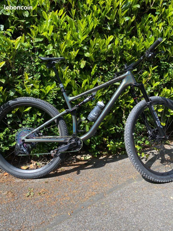 2022 S-Works Epic EVO RS (image 1)