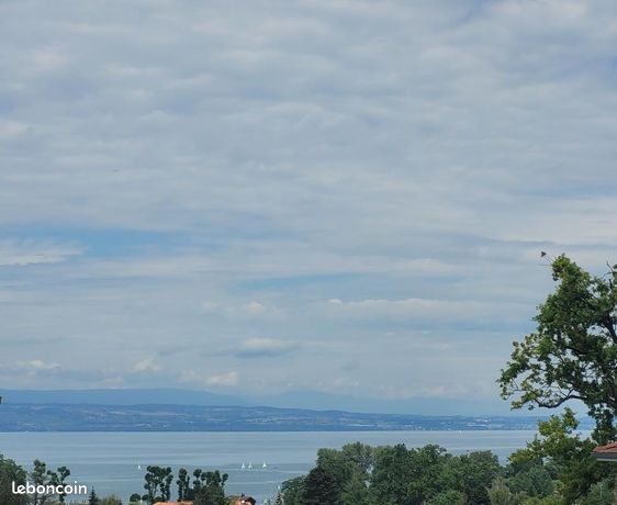 Appartement 4 pièces 85 m²