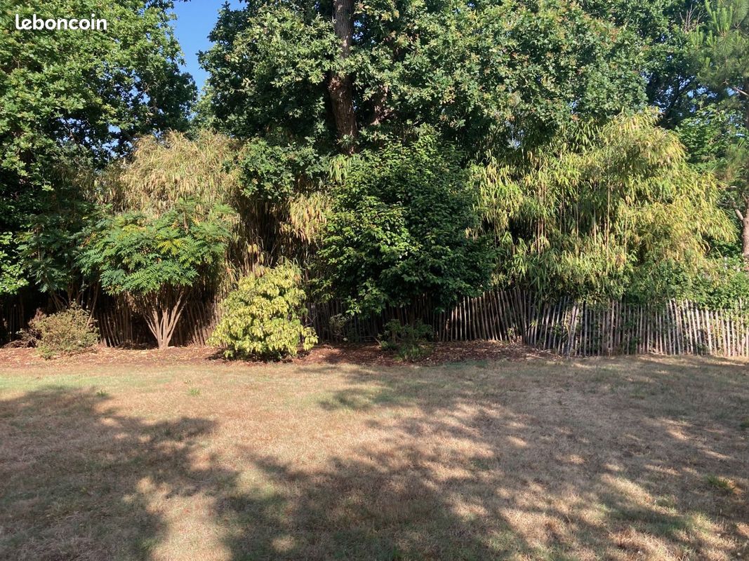 Terrain à bâtir de 401 m² à SALLES (33) · 117 000 €