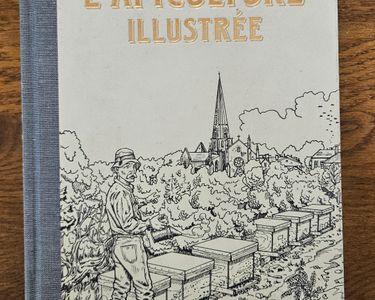 Tout Ce Que Vous Devez Savoir Sur L'apiculture