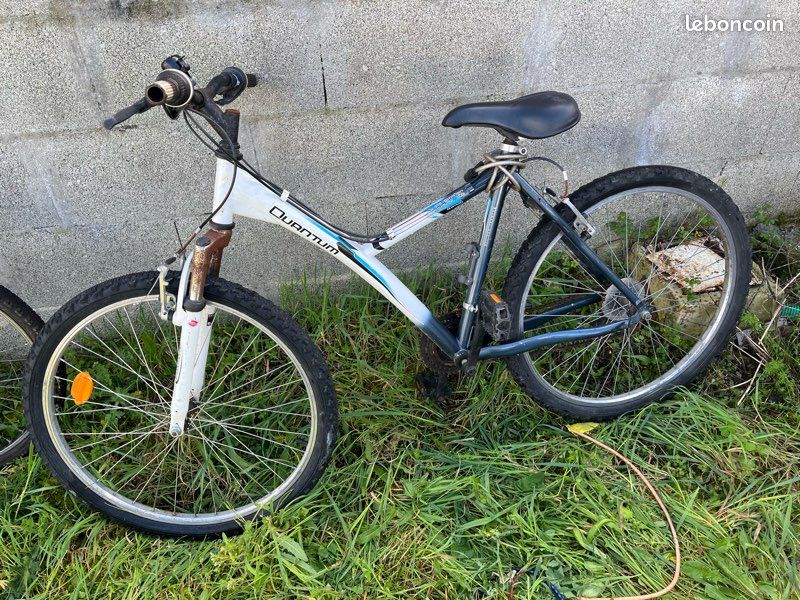 Vélo mixte (image 1)