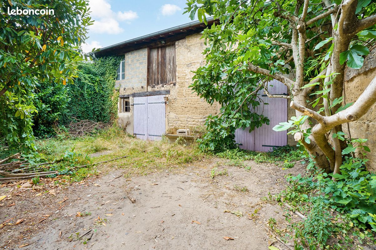 Local commercial 1 pièce 156 m² · à Pont-de-Veyle · 156 m² · 79 000 €