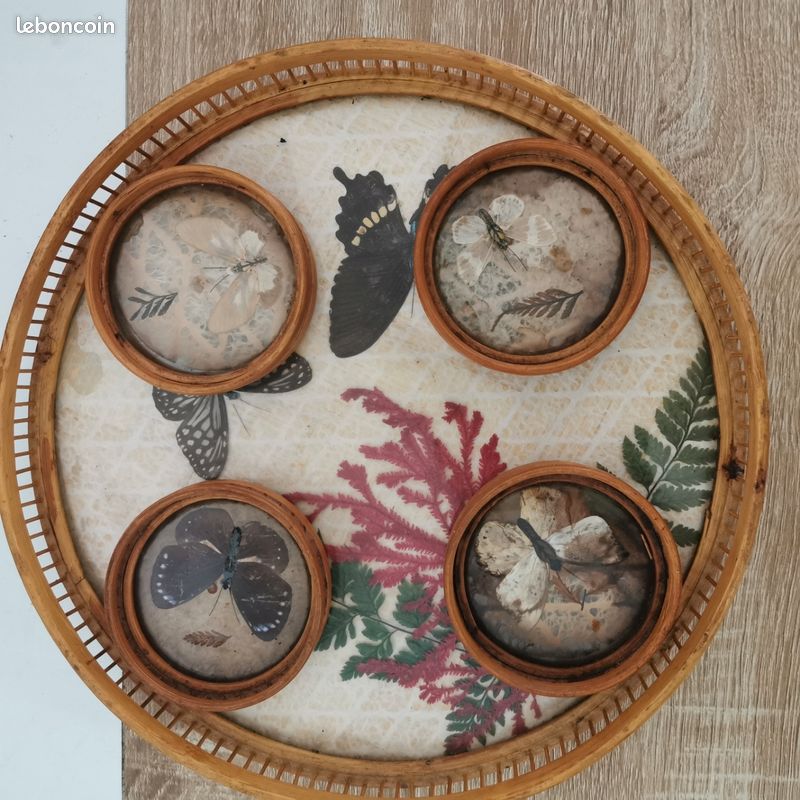 Plateau en rotin. Papillons. 4 sous verres (image 1)