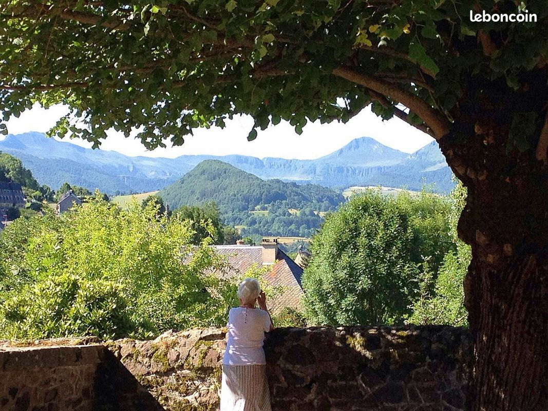 Loue maison de famille à Cheylade en Auvergne 17 couchages (image 2)