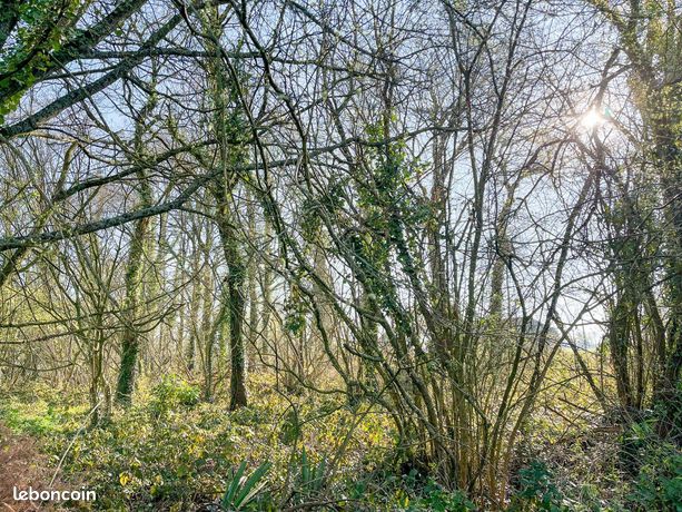 Terrain 1990 m² Hédé Bazouges