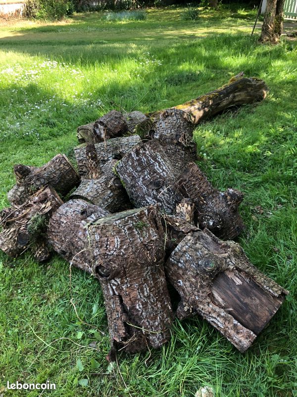 Bois à récupérer (image 1)