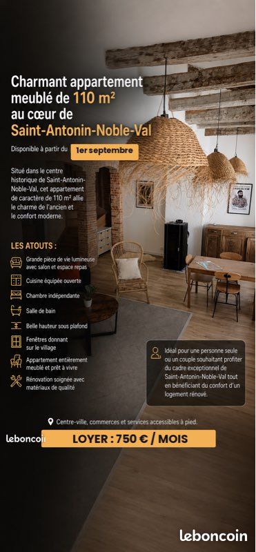 Appartement 3 pièces 50 m² · à Saint-Antonin-Noble-Val · 50 m² · 550 €