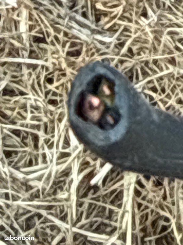 Câble électrique 3G 3.5mm2 29.5m (image 2)
