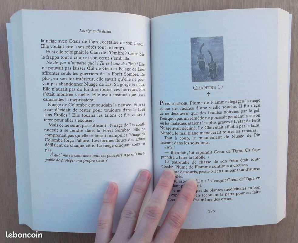 La guerre des clans, Cycle IV – Tome 3 : Des murmures dans la nuit (image 6)