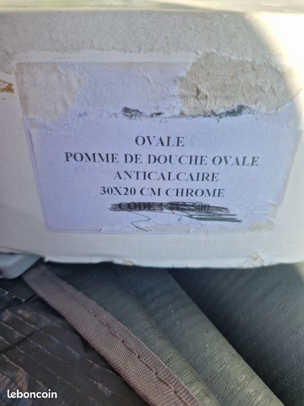 Pommeau douche ovale (image 3)
