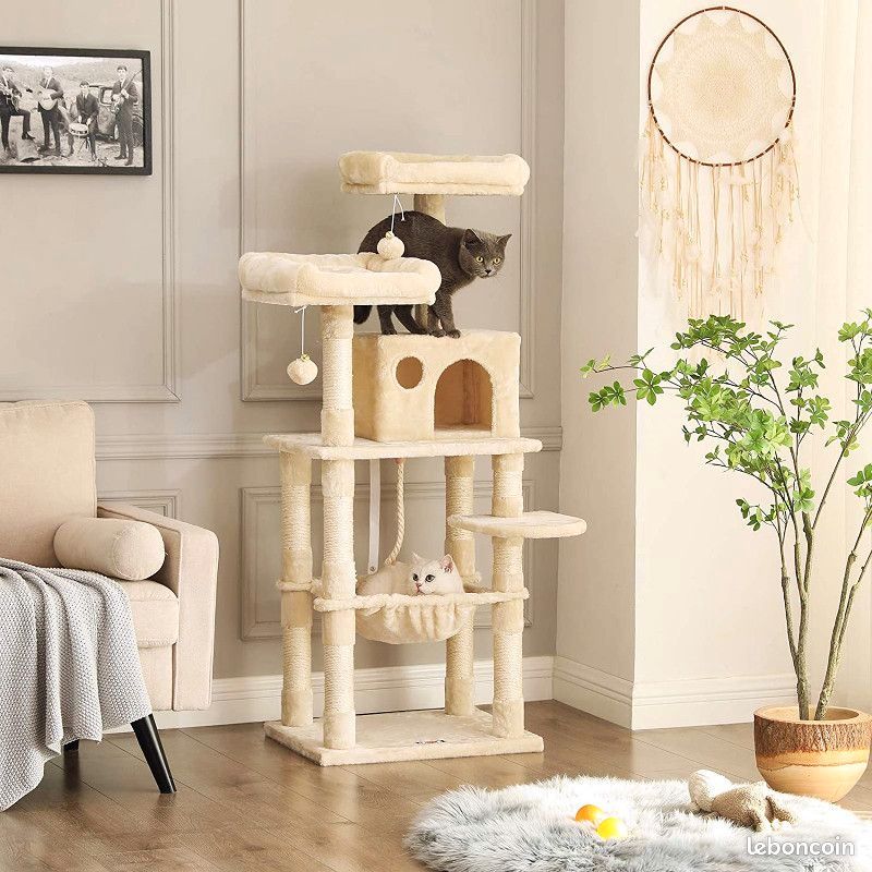 Arbre à Chat (image 1)