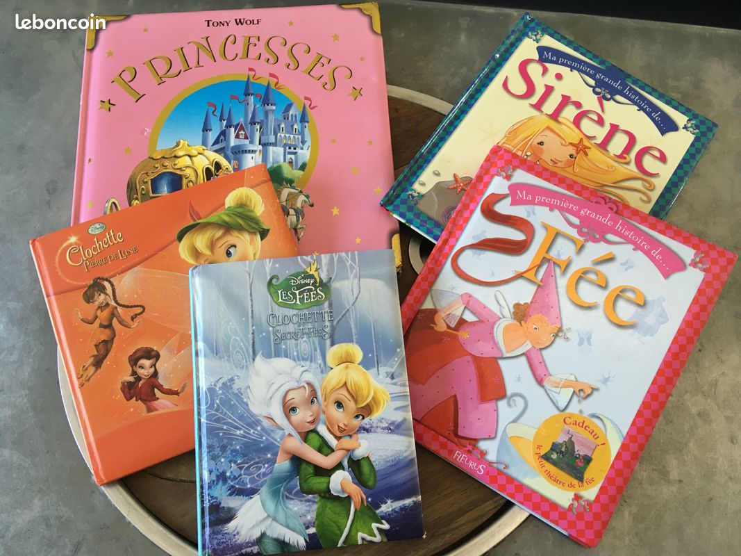 Lot livres princesses (image 1)