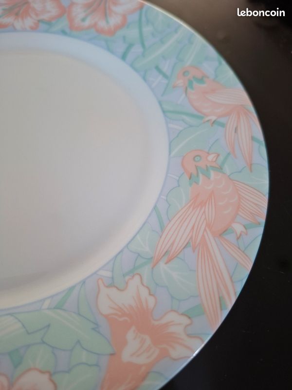 Lot de 6 assiettes plates et 6 assiettes a dessert Arcopal vintage (image 9)
