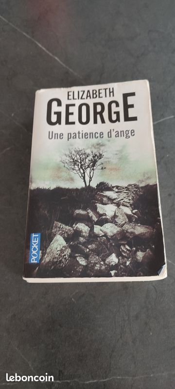 Une patience d'ange (image 1)